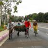 Taking the lane with our green cargo - Christmas tree transport by bike