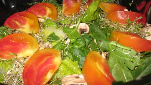 Vibrant salad with sliced tomatoes, mixed greens, sprouts, and mushrooms.