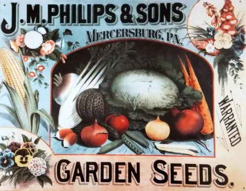 Vintage "J.M. Philips & Sons Garden Seeds" ad with illustrations of colorful vegetables.